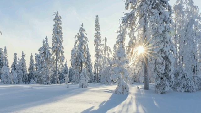 Юлия Окорокова-Мария Людько и Олег Безинских - Beatrice di Tenda, Act 2_ Angiol di pace смотреть онлайн