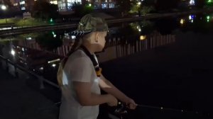 рыбалка Останкинский пруд 1