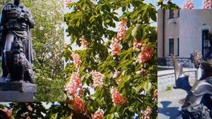 ПЕСНИ НАШЕЙ МОЛОДОСТИ:СНОВА ЦВЕТУТ КАШТАНЫ.ПОЗОР МИЗАНТРОПАМ👹,ПОСЕЯВШИМ ВРАЖДУ МЕЖДУ ДВУМЯ НАРОДАМИ