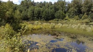 Урочище Глебцево. Дорога к бывшей Власовской торфяной электростанции