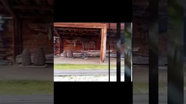 Путешествие команды Тасеевской СОШ №2 смотреть онлайн