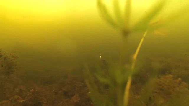 Ловля ротана. смотреть онлайн