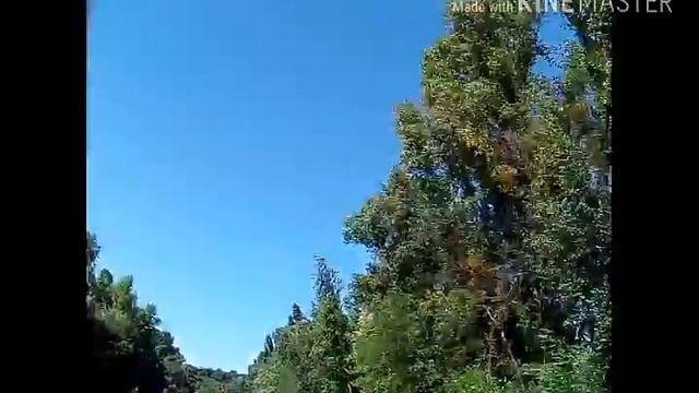 Природа и хранилище кранов. смотреть онлайн