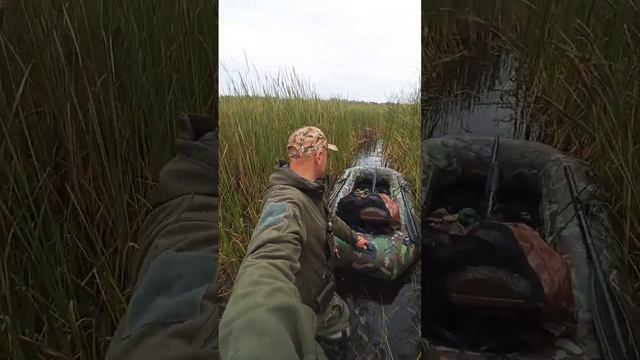 Открытие охоты на утку смотреть онлайн