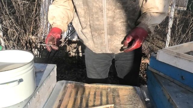 Февральский облет пчел, установка потолочных поилок. смотреть онлайн