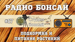 Выпуск  17. Радио Бонсай: Подкормка и питание растений