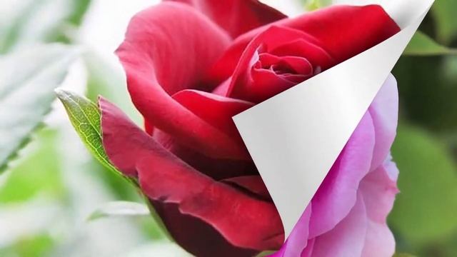 Невероятно вдохновляющая и Бесконечно КРАСИВАЯ МУЗЫКА для души...Просто послушайте !