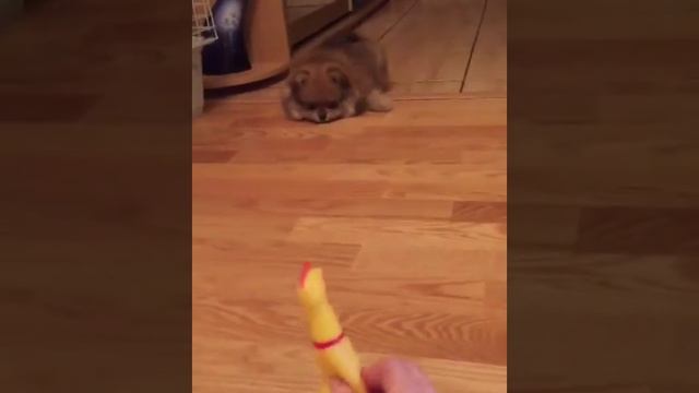 наш выпускник 🤗♥️