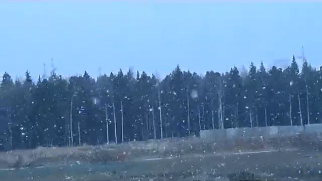 В Сургуте снег 31 05 2013 смотреть онлайн