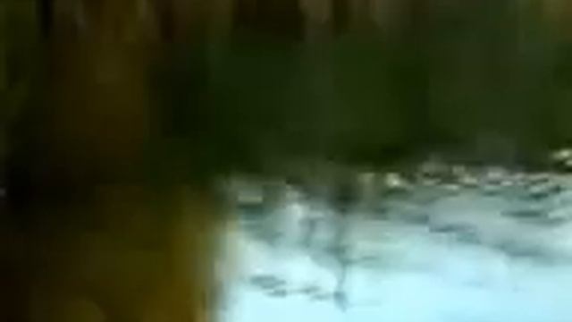 щука на спиннинг смотреть онлайн