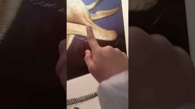 Dinosaurier Museum. Unsere Besuch♡! Музей динозавров! смотреть онлайн