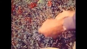 Автономная Жизнь