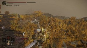 Elden Ring Апостол божественной кожи (Плато Альтус) (126)