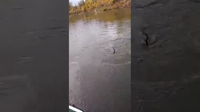 Самара , осень 2019 смотреть онлайн