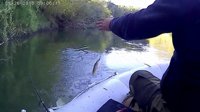 окунь на селиконку смотреть онлайн