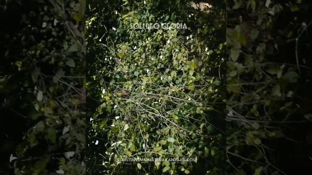 Does any one ask me what we may expect to see in a true conversion? I reply.. #jcryle смотреть онлайн