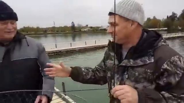 Настоящий друг. смотреть онлайн