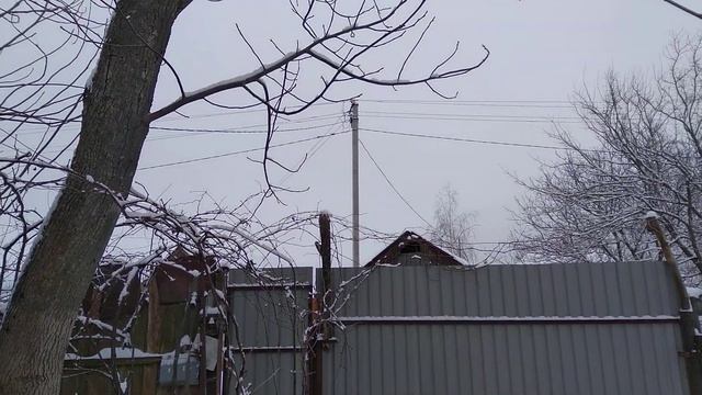 Дятла привлекают кормушки смотреть онлайн