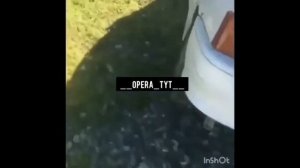 🚨 Подборка Суеты #1 , Опер Стайл , Исполнения , OPER STYLE 🚨