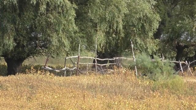 Осенний береговой джиг