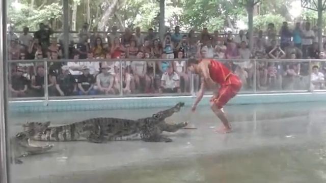 крокодиловое шоу Тайланд..mp4 смотреть онлайн