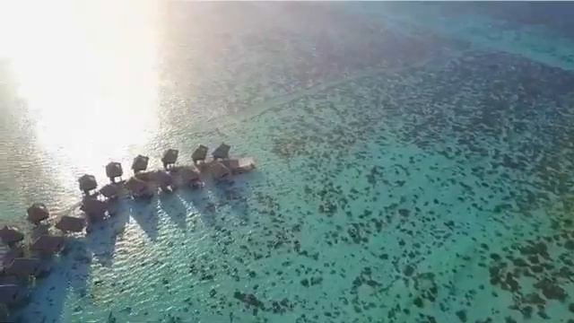 Французская Полинезия French polynesia