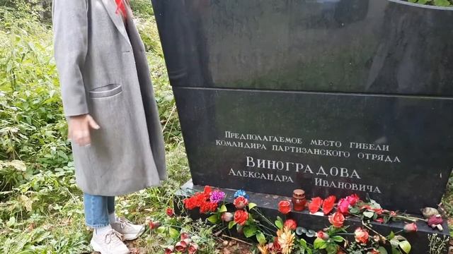 ВИРТУАЛЬНАЯ ЭКСКУРСИЯ МБОУ СОШ №53 смотреть онлайн