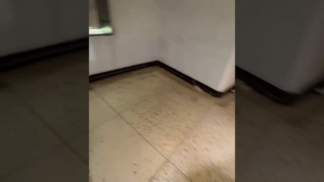 #музейянтаря #калининград #чтоновенького #турпомузеям #гулкиешаги