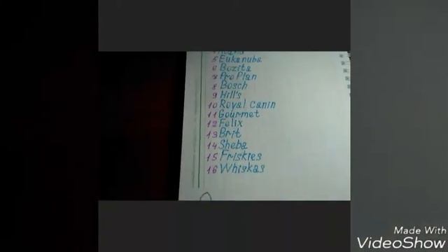 Экскурсия по моему блокноту про животных. смотреть онлайн