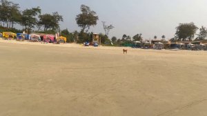 Индия. Гоа. Пляж Беталбатим (Betalbatim Beach) 04.01.2024