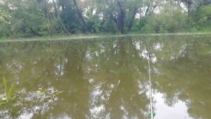 Лето. Отпуск. Рыбалка на речке на поплавок. Отличный улов.