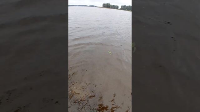 Рыбалка на волге. смотреть онлайн