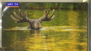 Первозданная Россия. В ЛДС «Кристалл» продолжается уникальная выставка фотографов-натуралистов.