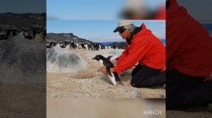 Библиотека с. Дефановка. Обзор - "Что означает эта профессия"