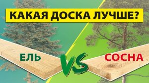 Какая доска лучше: ель или сосна?