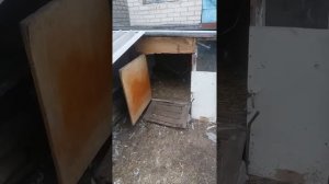 Питание и содержание индоутки