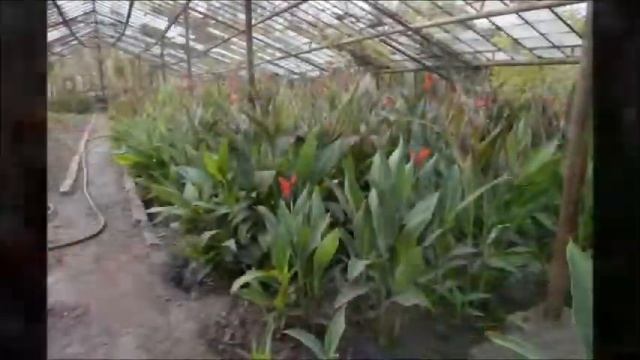 Экскурсия в Зеленстрой