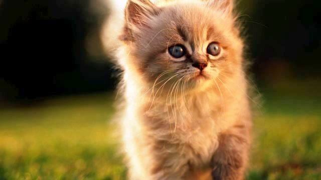 Самая лучшая русская песня для метро 2015 года смотреть онлайн