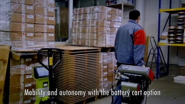 Портативный маркиратор E10-P63 смотреть онлайн