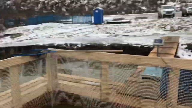 Мисайлово докинули форели
