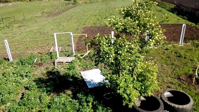 Дом двор смотреть онлайн