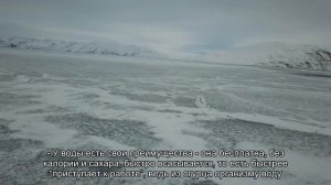 Правила, как пить воду в течение дня, и ошибки в питьевом режиме назвала врач-терапевт