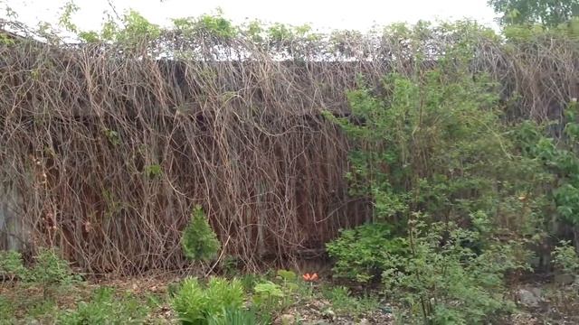 Почему я выбрала GBSPREMIUM. Музей Царская пристань. Тюмень смотреть онлайн