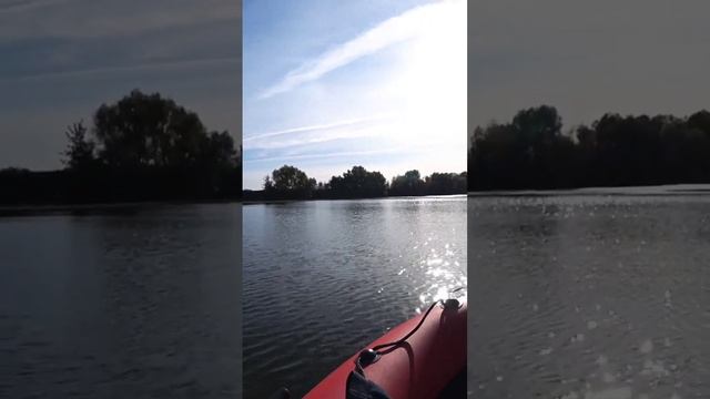 Иду искать сома смотреть онлайн