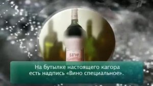Среда обитания. Градус праздника.