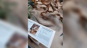 Приключение в Музее динозавров Швейцария (часть 1)