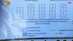 ПЧЕЛОВОДСТВО, многокорпусное содержание, главный взяток средней силы