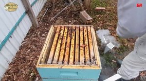 пчеловод не допускай ошибок, нижняя вентиляция не работает, подкрышник
