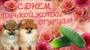 WIN_20241009_10_14_49_Proклоанны деруца не под музаку