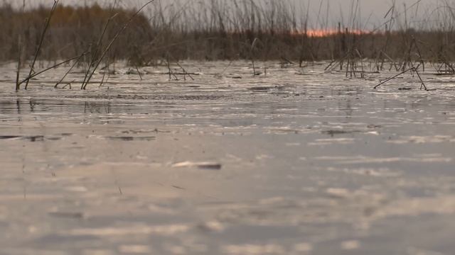 Неожиданная Встреча На Озере! ОХОТА НА УТКУ С ЧУЧЕЛАМИ. смотреть онлайн